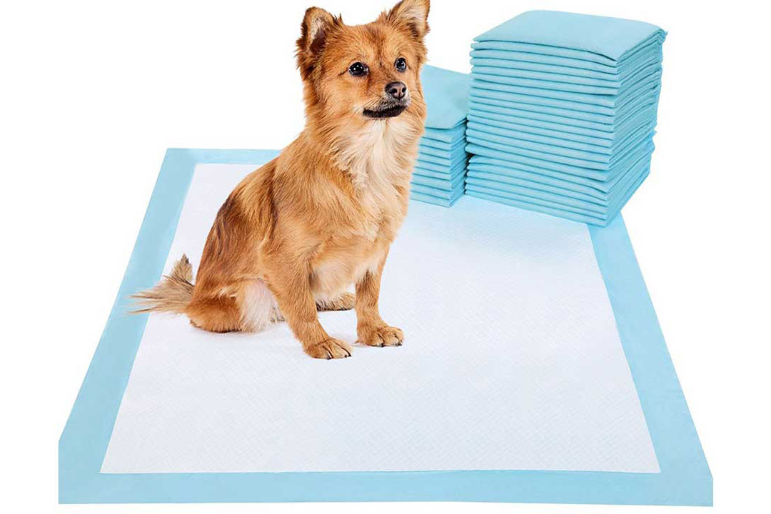 Small dog pee pads