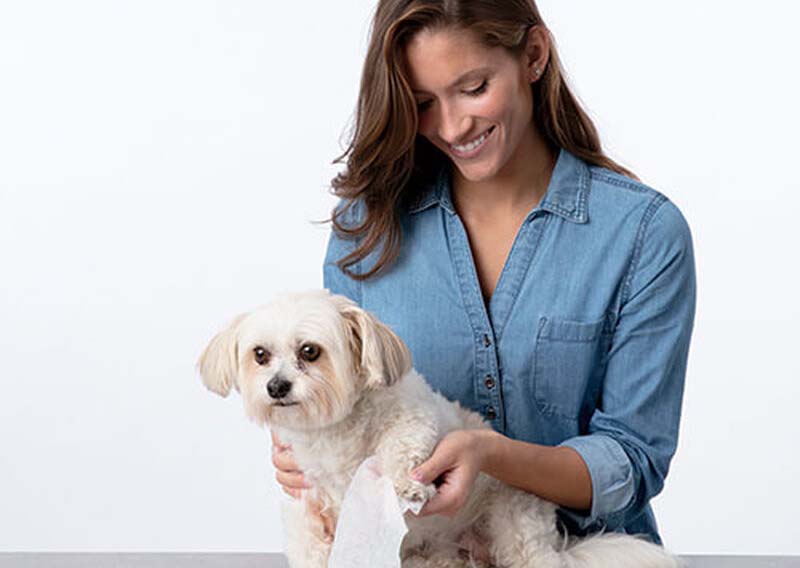 Yeesain antibacterial pet wipes