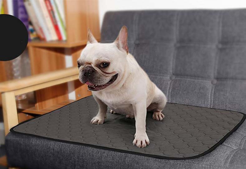 dog pee pad