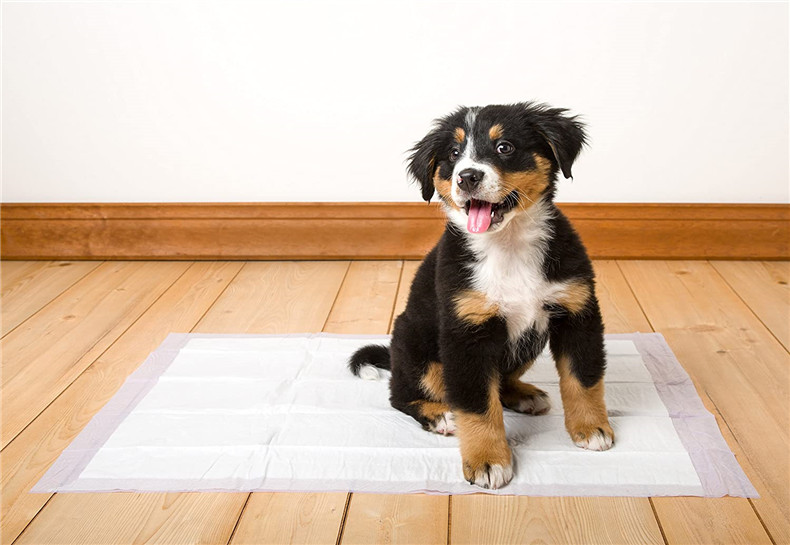 potty mat